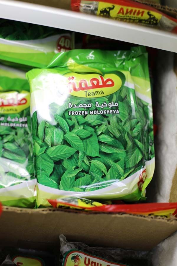 Teama FROZEN MOLOKHEYA