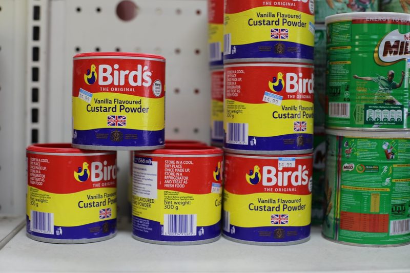 Bird's