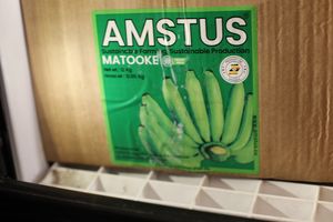 AMSTUS