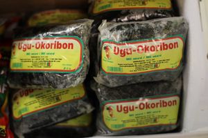 Ugu-Okoribon